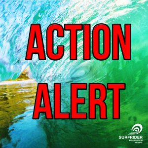 Surfrider Oahu Action Alert