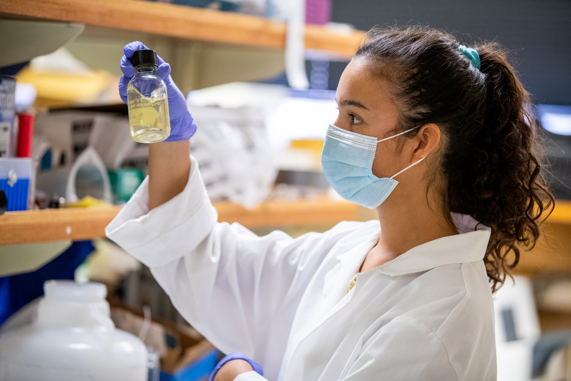 volunteer processing samples at Kewalo lab 