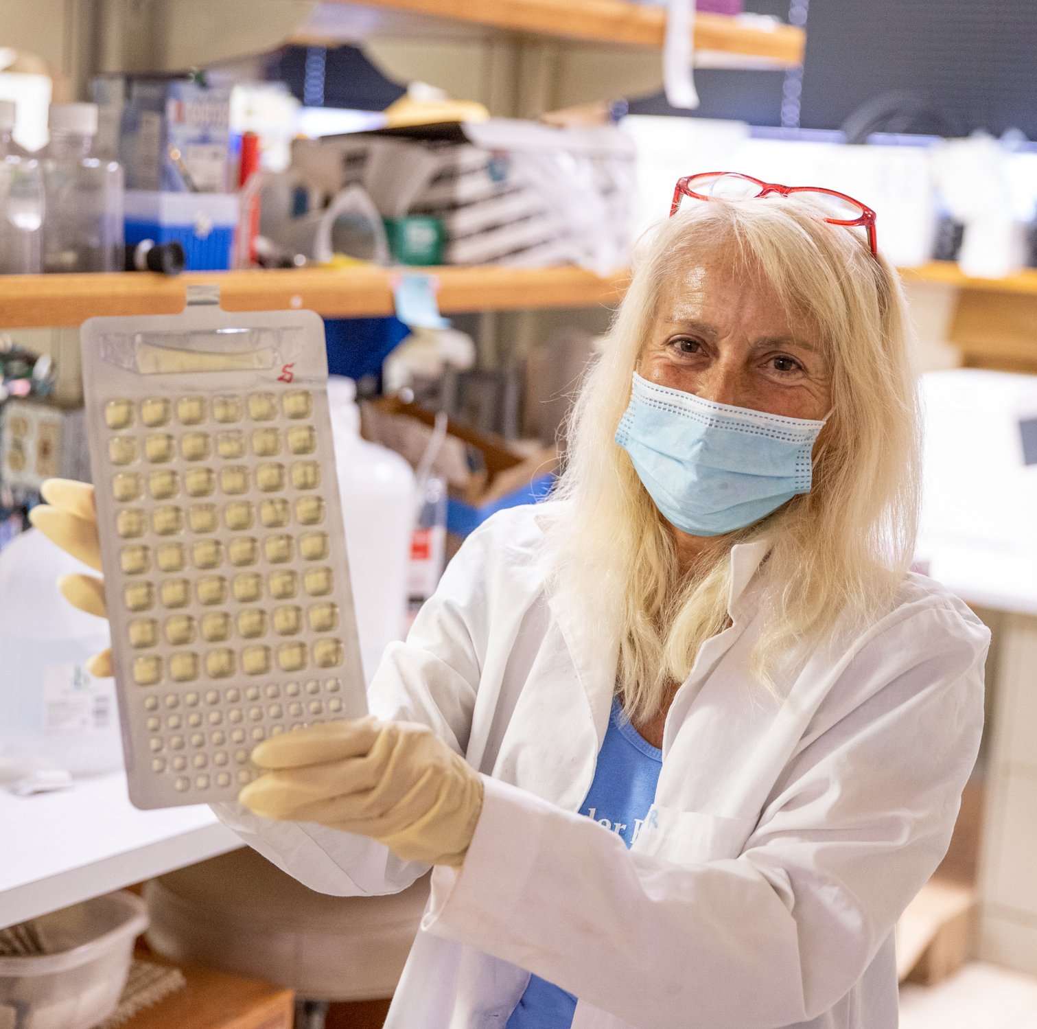 BWTF co coordinator, Arleen, processing samples