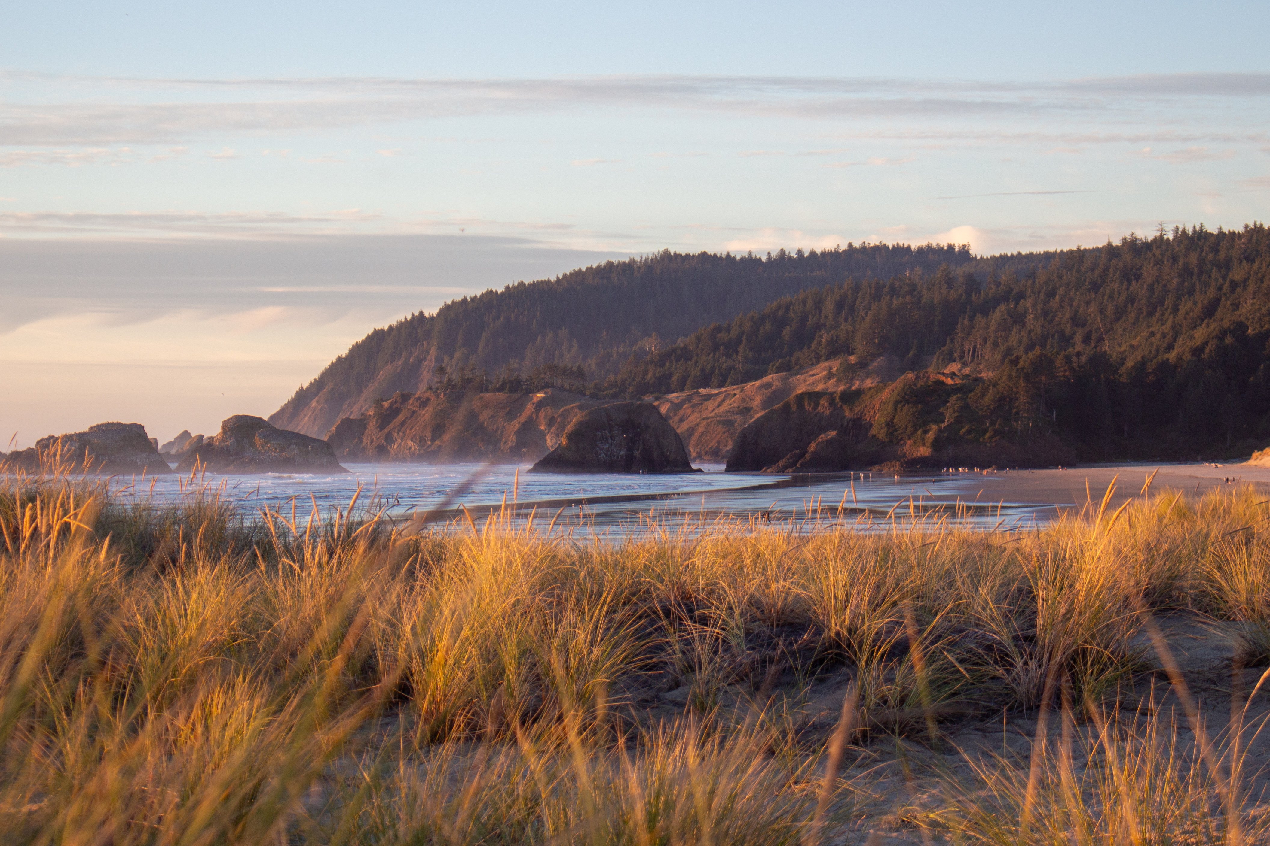 Protect Cannon Beach Dunes From Private Dozers
