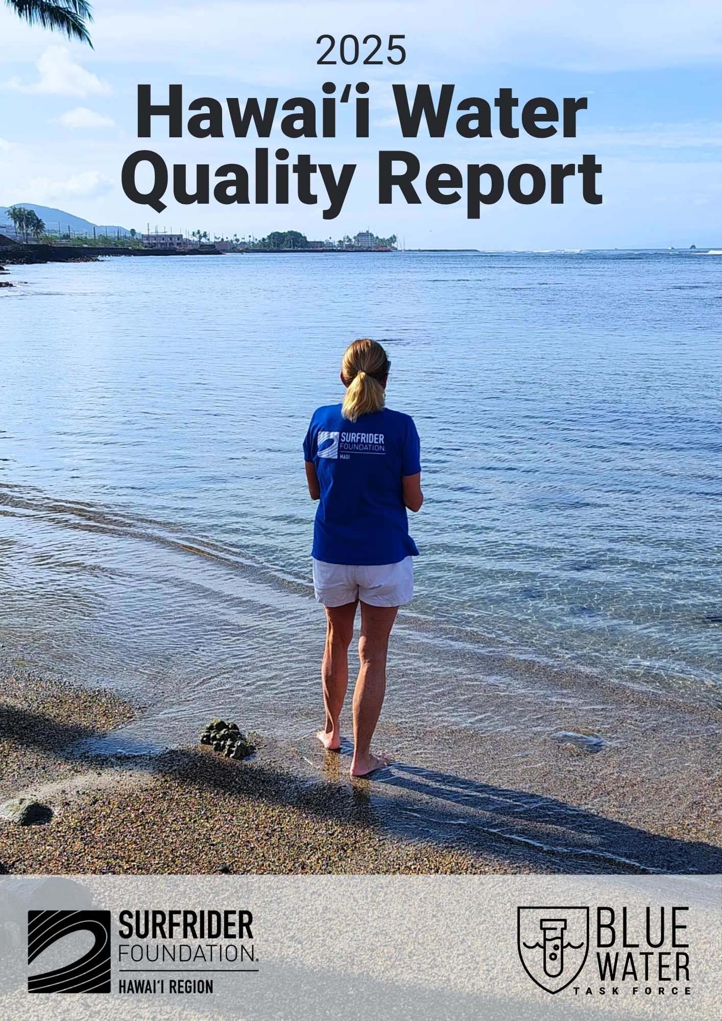 2025 HAWAII BWTF Report cover 2025 HAWAII BWTF Report cover